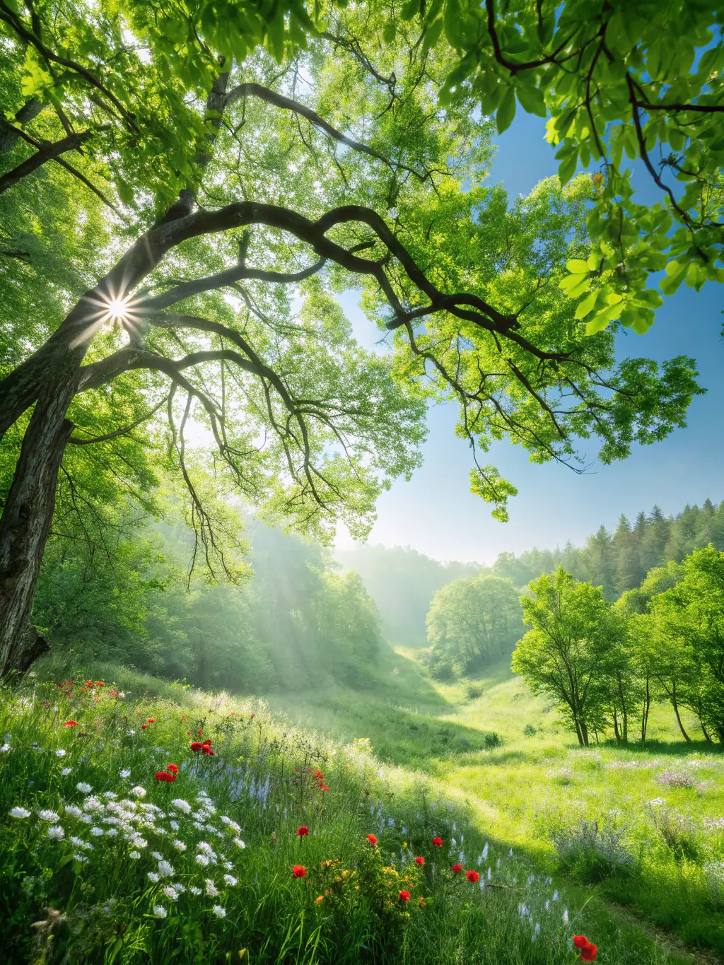 A vibrant image of a thriving forest ecosystem, showcasing diverse plant and animal life, symbolizing the positive impact of habitat restoration efforts by SOCIETE COMMUNALE DE CHASSE ENTENTE FONTENILLE-LONNES.